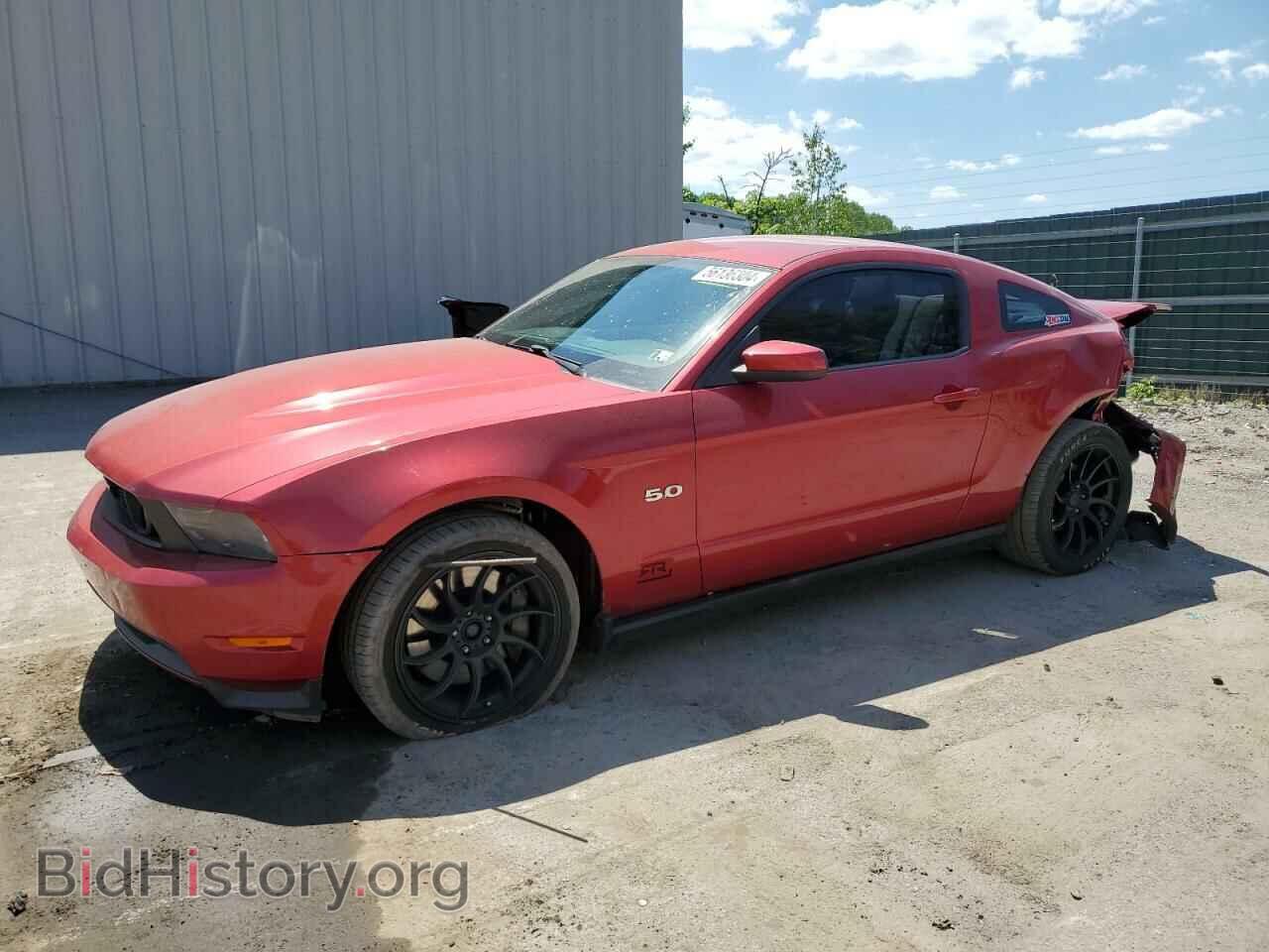 Фотография 1ZVBP8CF5B5113979 - FORD MUSTANG 2011