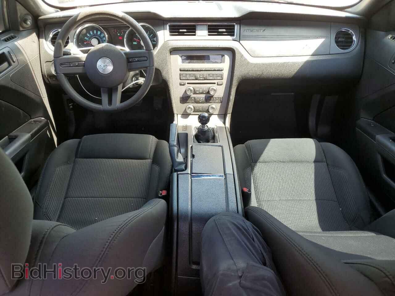 2011 FORD MUSTANG - VIN: 1ZVBP8CF5B5113979 - Фото 8