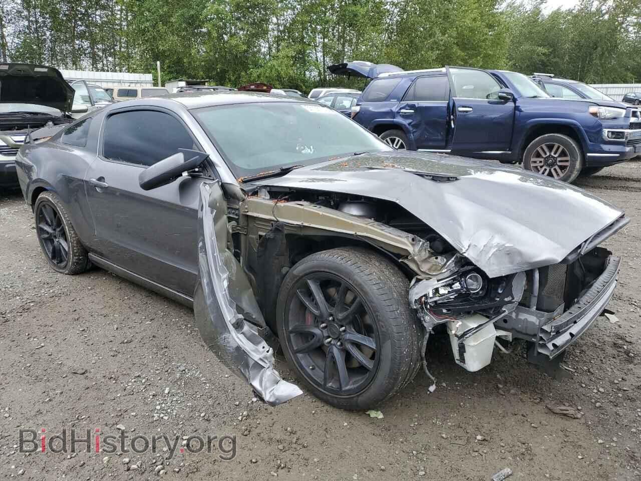 2013 FORD MUSTANG - VIN: 1ZVBP8CFXD5284567 - Фото 4
