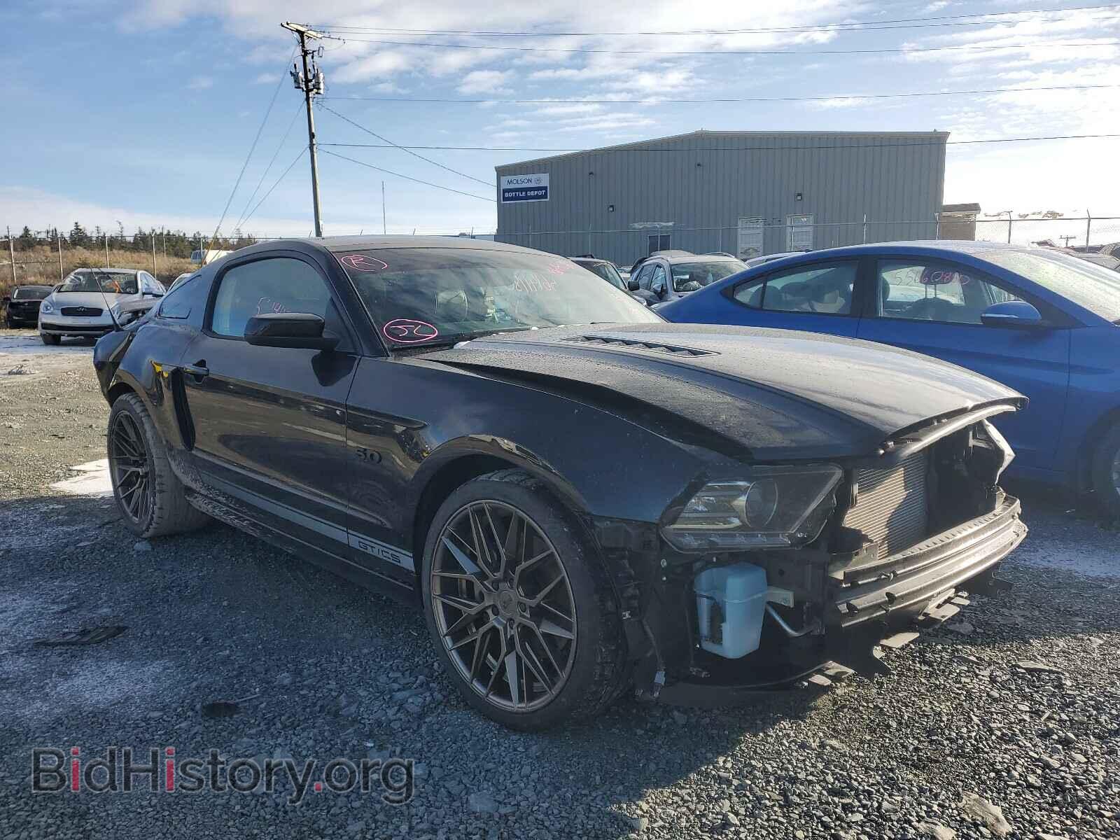 Photo 1ZVBP8CF4E5329262 - FORD MUSTANG 2014