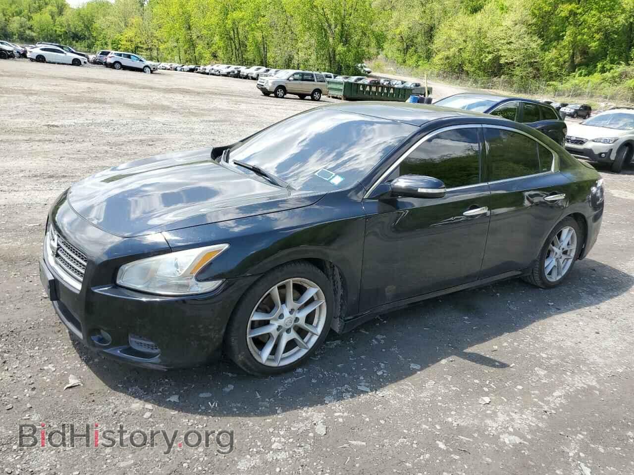 Photo 1N4AA5AP1BC816233 - NISSAN MAXIMA 2011