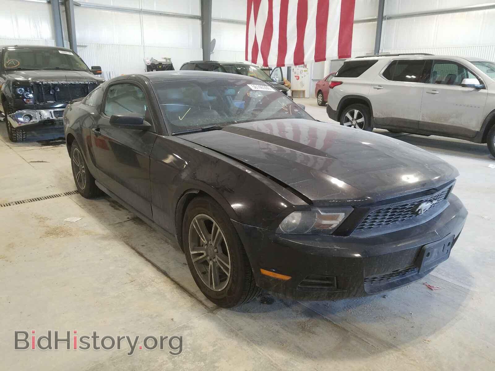 Photo 1ZVBP8AM4C5205541 - FORD MUSTANG 2012