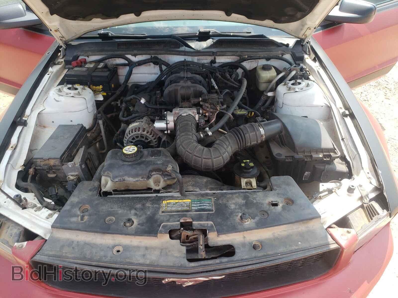 2007 FORD MUSTANG - VIN: 1ZVFT80N975244817 - Фото 7