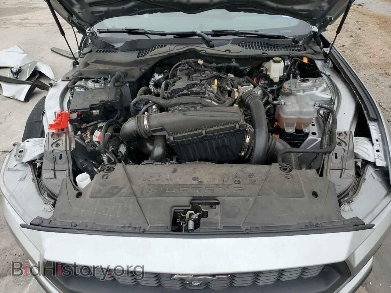 2024 FORD ALL Models - VIN: 1FA6P8TH9R5138602 - Фото 11