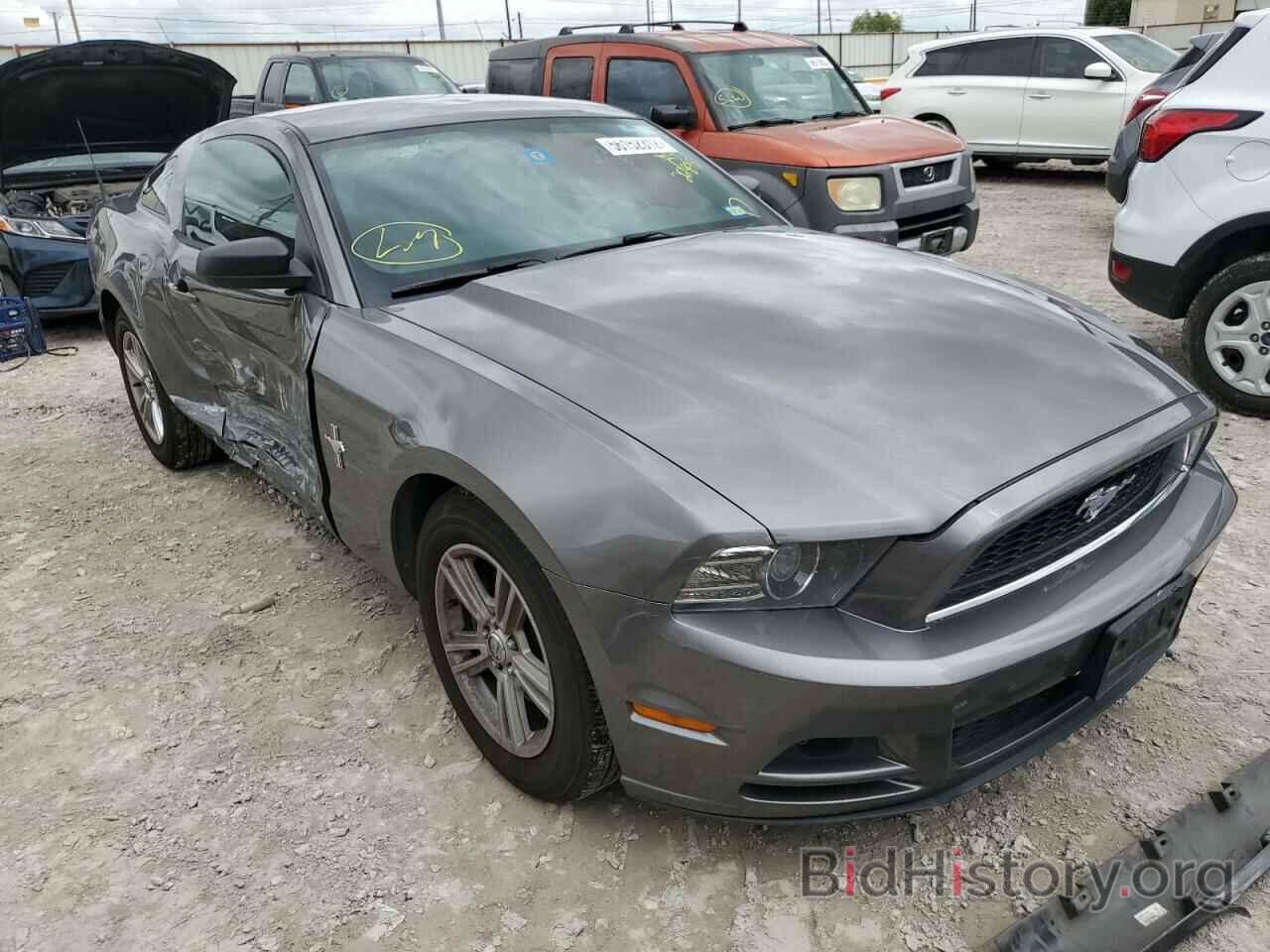 Photo 1ZVBP8AM4D5261898 - FORD MUSTANG 2013