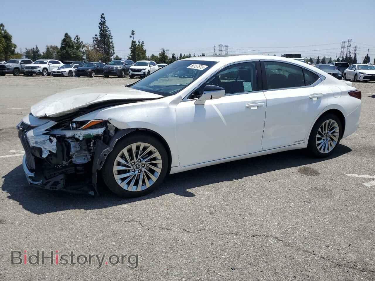 Photo JTHB21B12K2026118 - LEXUS ES300 2019