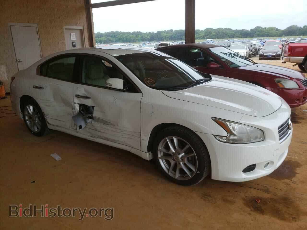 Фотография 1N4AA5AP6BC830466 - NISSAN MAXIMA 2011
