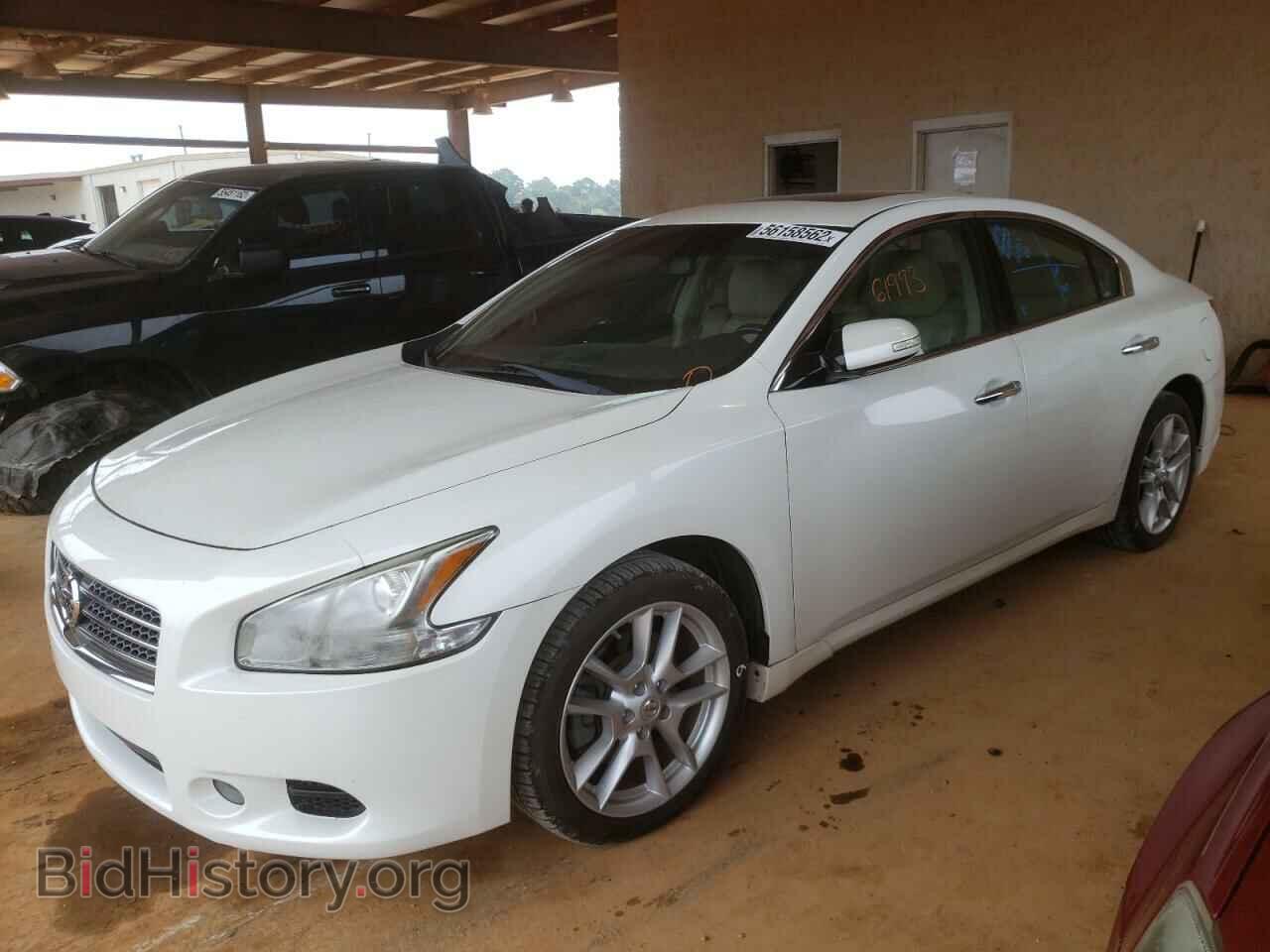 2011 NISSAN MAXIMA - VIN: 1N4AA5AP6BC830466 - Фото 2