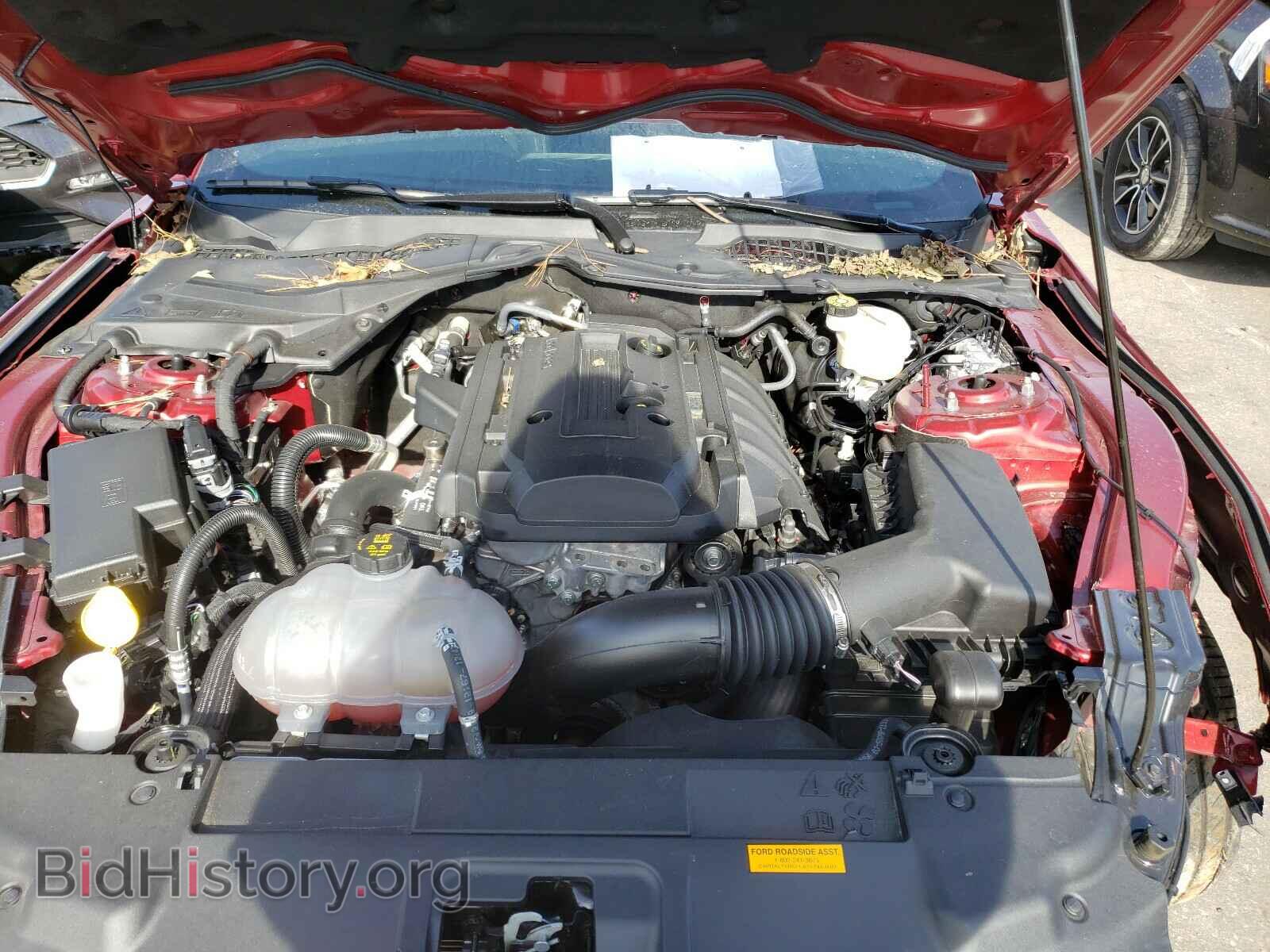 2019 FORD MUSTANG - VIN: 1FA6P8THXK5199110 - Фото 7