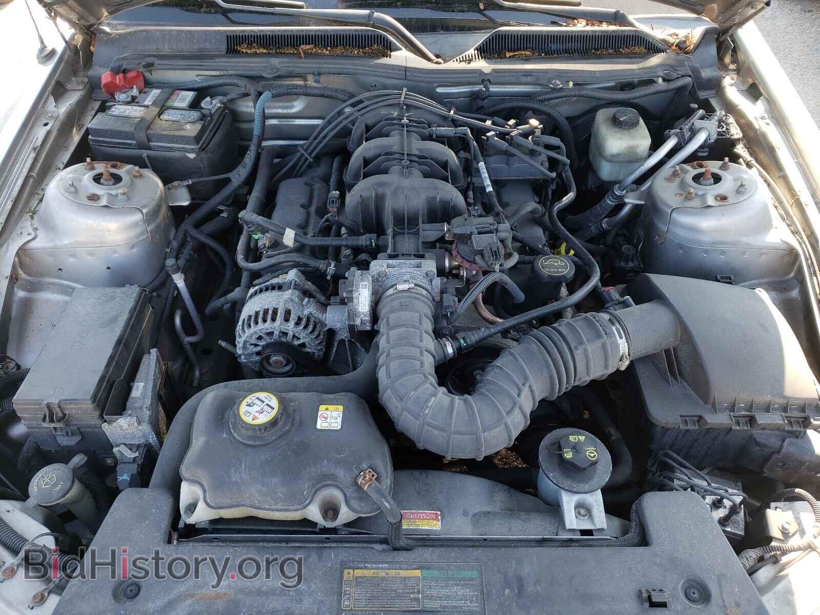 2008 FORD MUSTANG - VIN: 1ZVHT80N785121785 - Фото 7