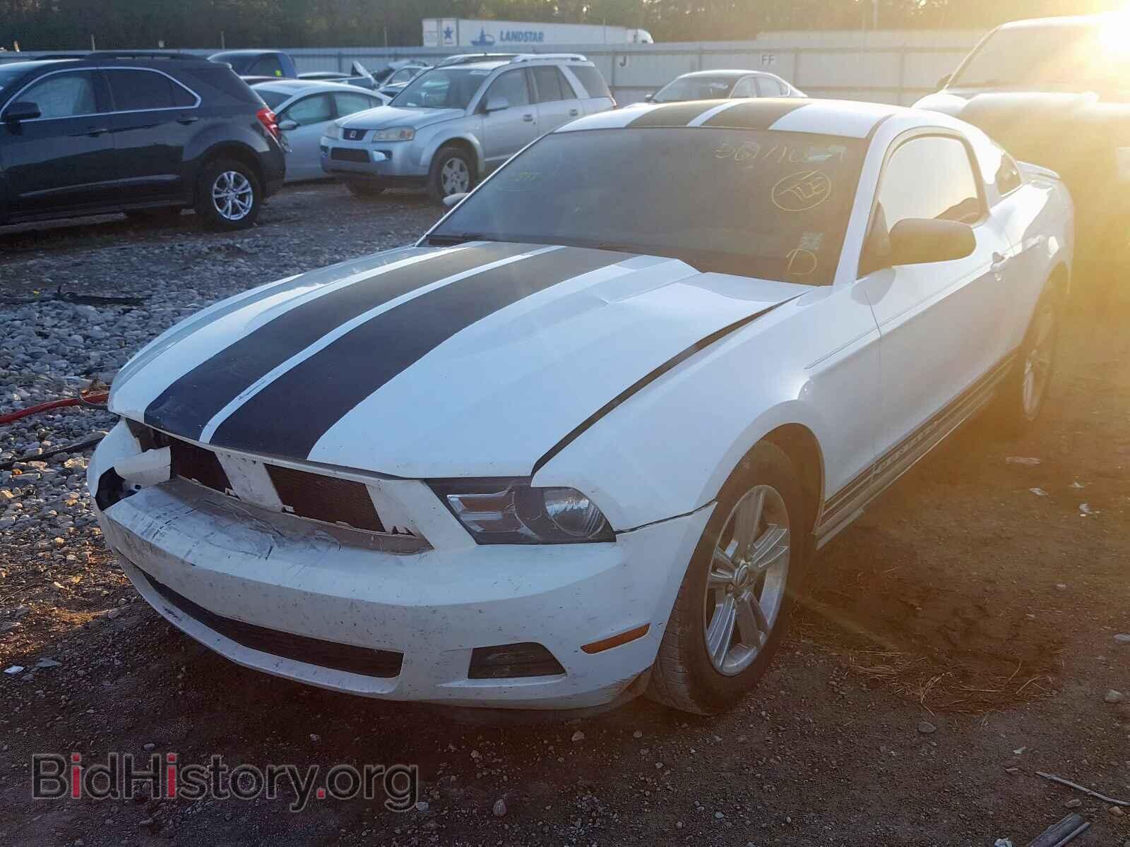 2011 FORD MUSTANG - VIN: 1ZVBP8AM0B5132165 - Фото 2