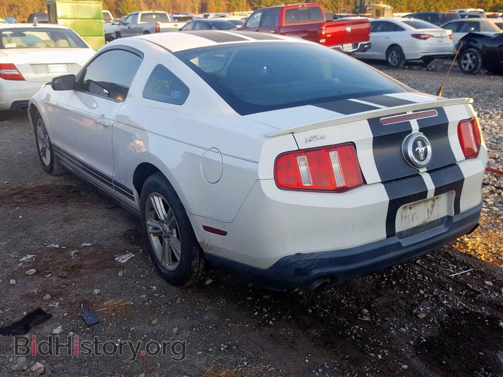 2011 FORD MUSTANG - VIN: 1ZVBP8AM0B5132165 - Фото 3
