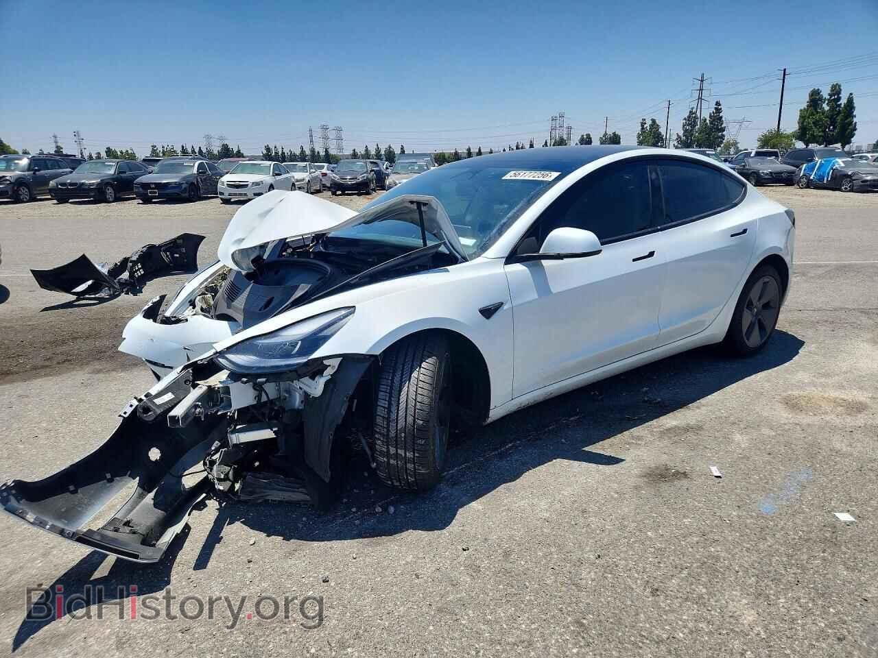 Photo 5YJ3E1EA2PF578781 - TESLA MODEL 3 2023