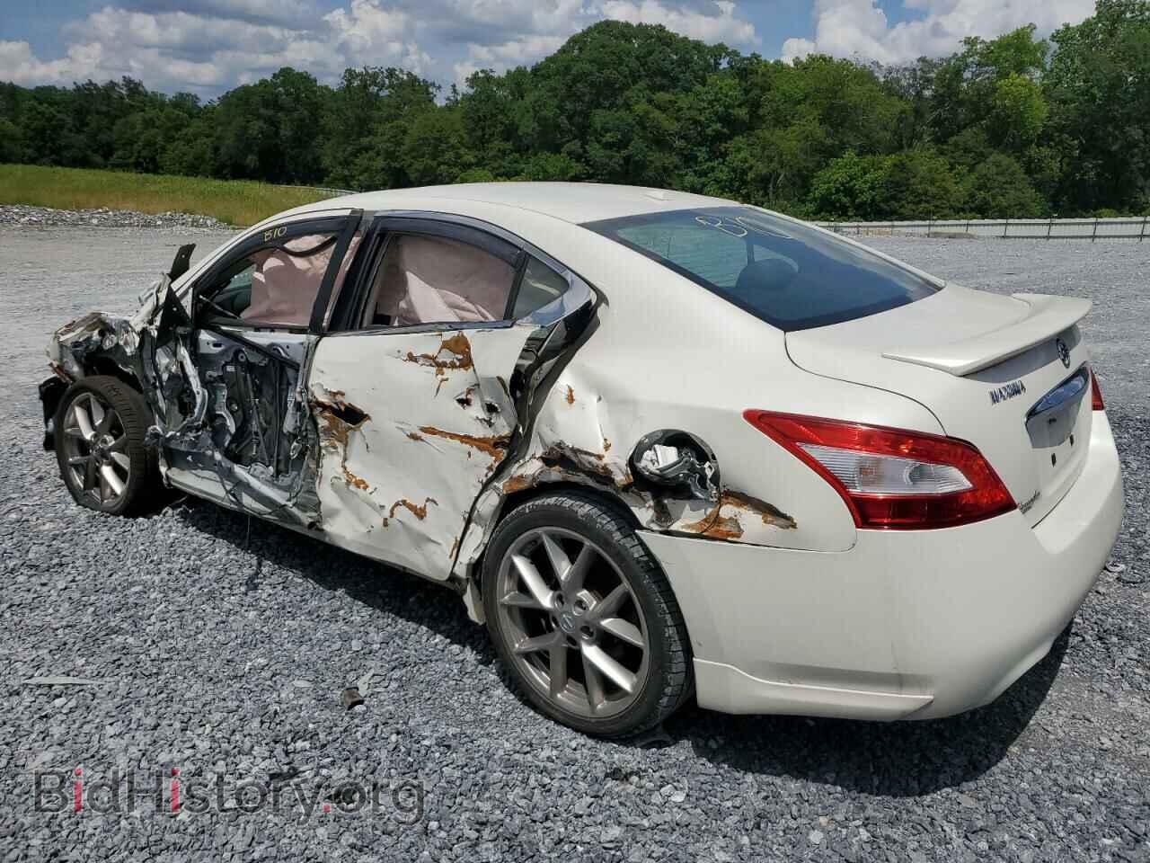2011 NISSAN MAXIMA - VIN: 1N4AA5AP6BC843203 - Фото 2
