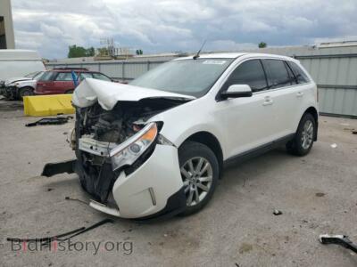2013 Ford EDGE Limited, белый — VIN 2FMDK4KC8DBB37374, Copart