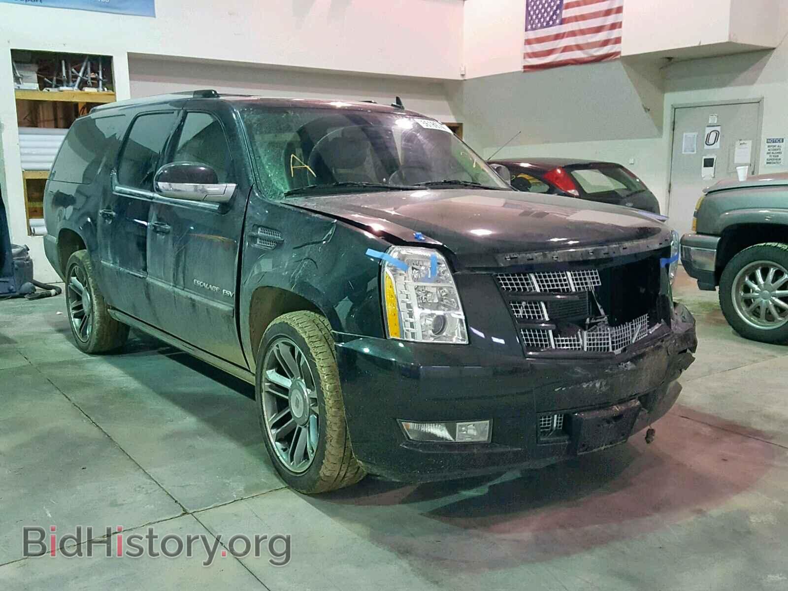 Photo 1GYS4JEF1DR228116 - CADILLAC ESCALADE E 2013