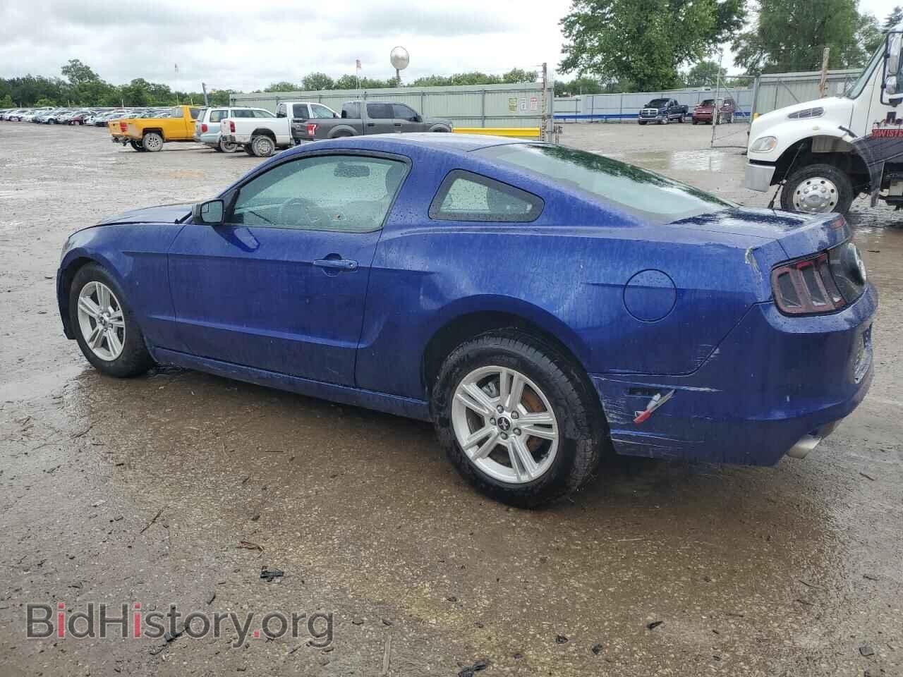 2013 FORD ALL Models - VIN: 1ZVBP8AM4D5262503 - Фото 2