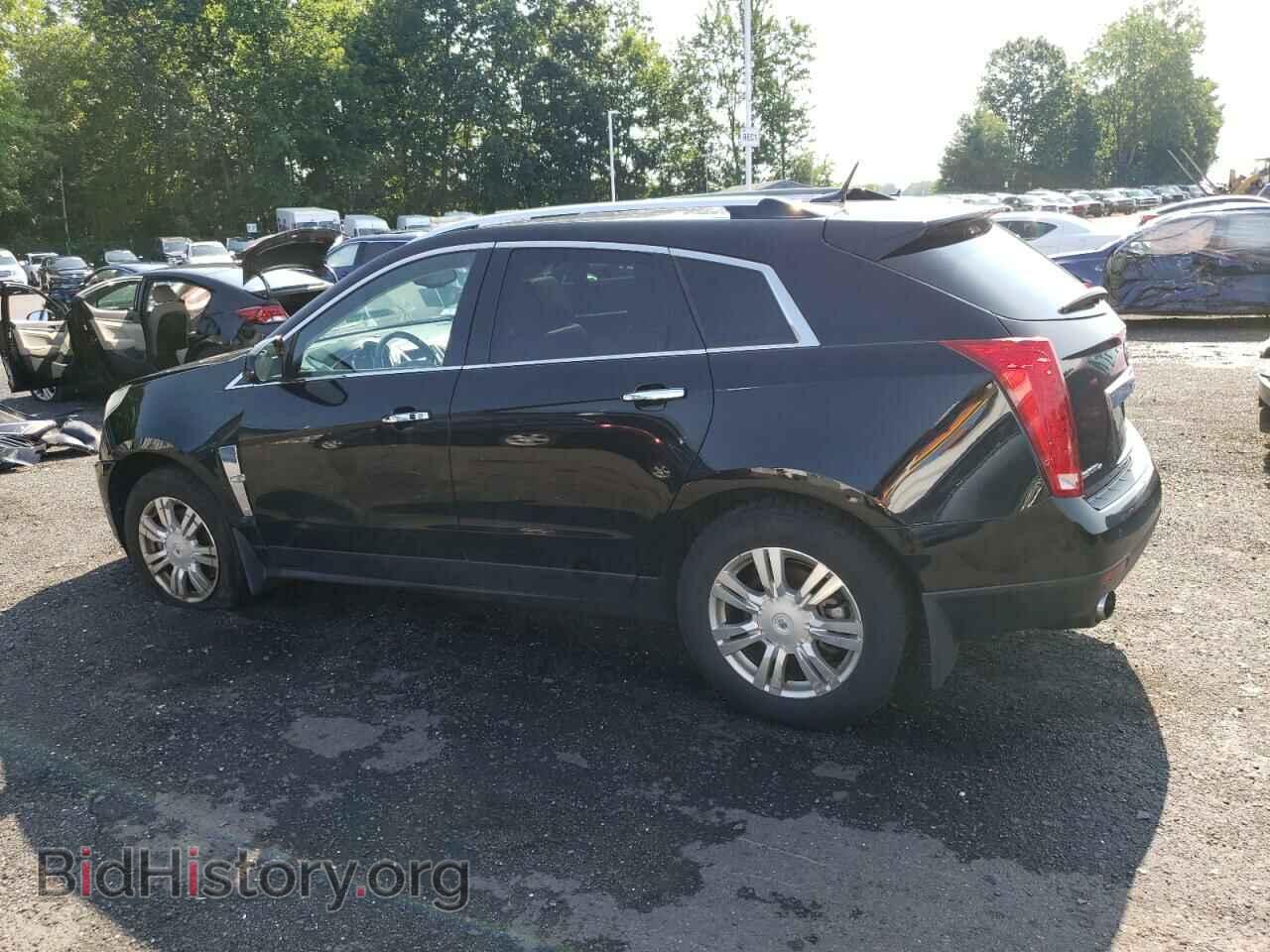 2011 CADILLAC SRX - VIN: 3GYFNDEY0BS680120 - Фото 2