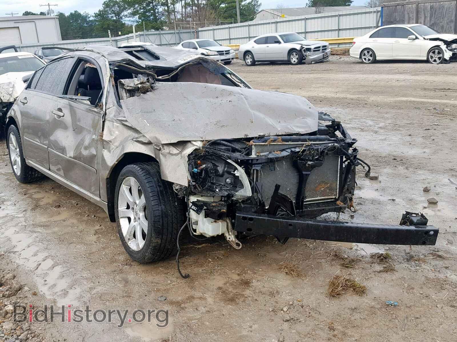 Photo 1N4BA41EX8C830170 - NISSAN MAXIMA 2008