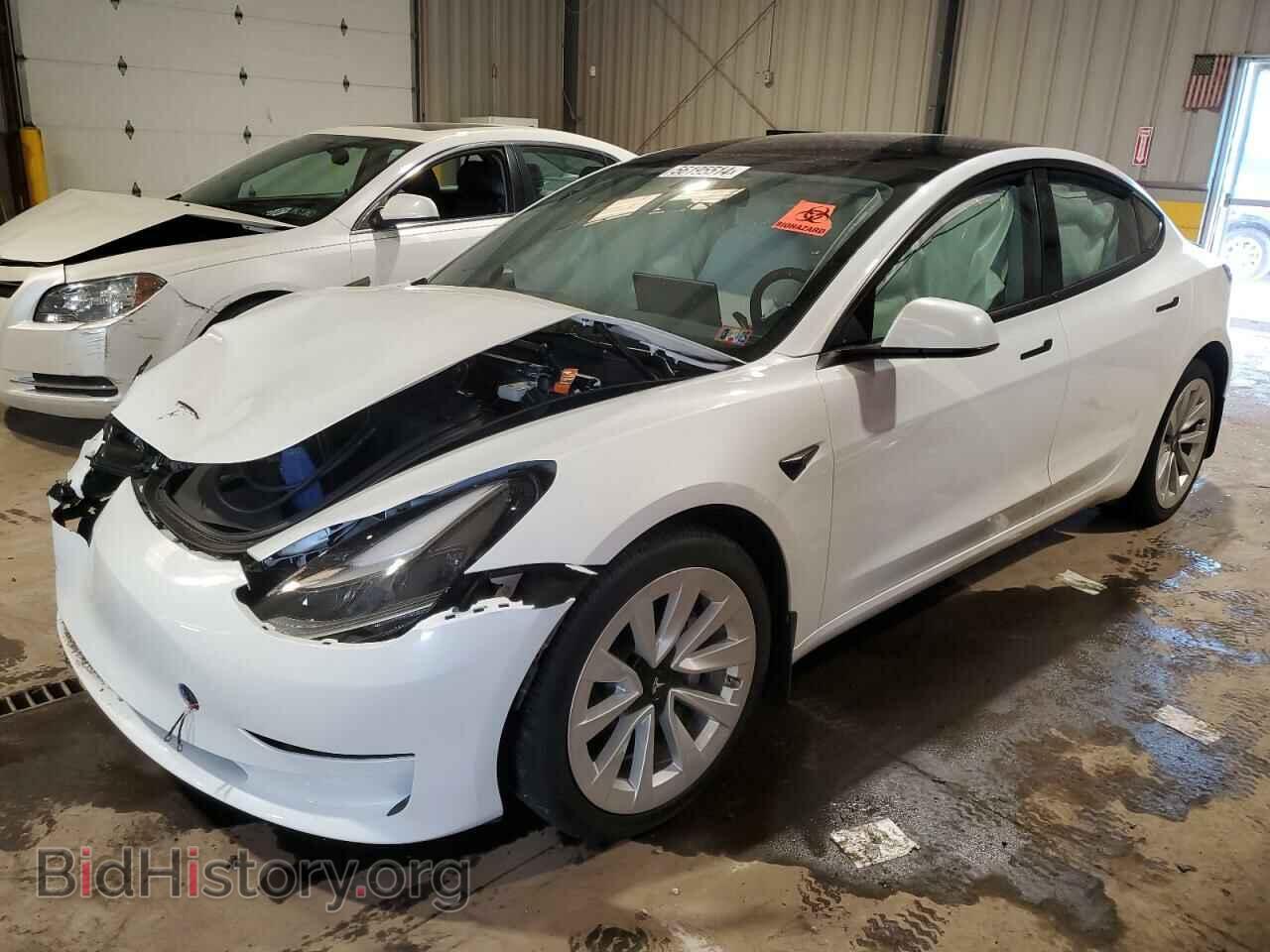 Photo 5YJ3E1EBXPF454430 - TESLA MODEL 3 2023