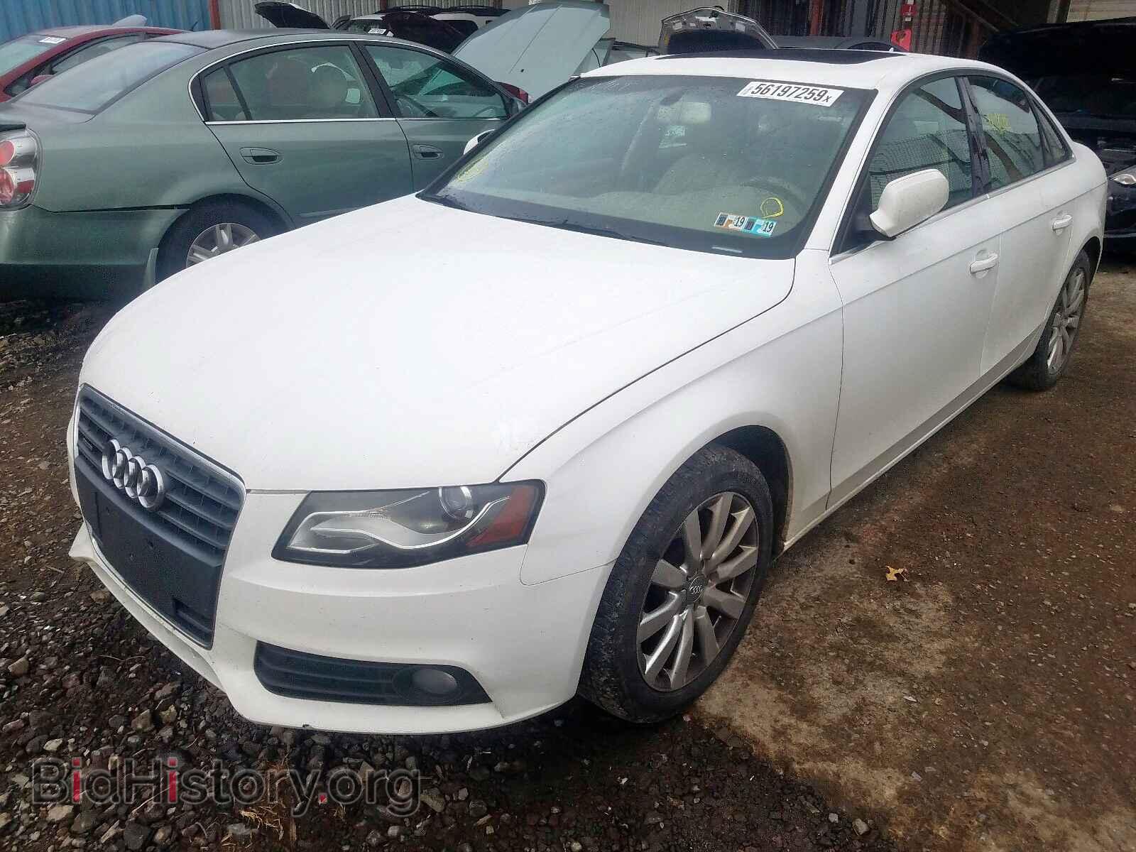 2010 AUDI A4 - VIN: WAUFFAFL1AN049743 - Фото 2