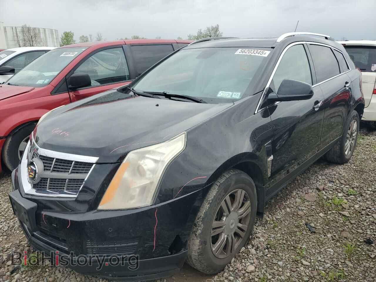 Фотография 3GYFNDE38CS587044 - CADILLAC SRX 2012