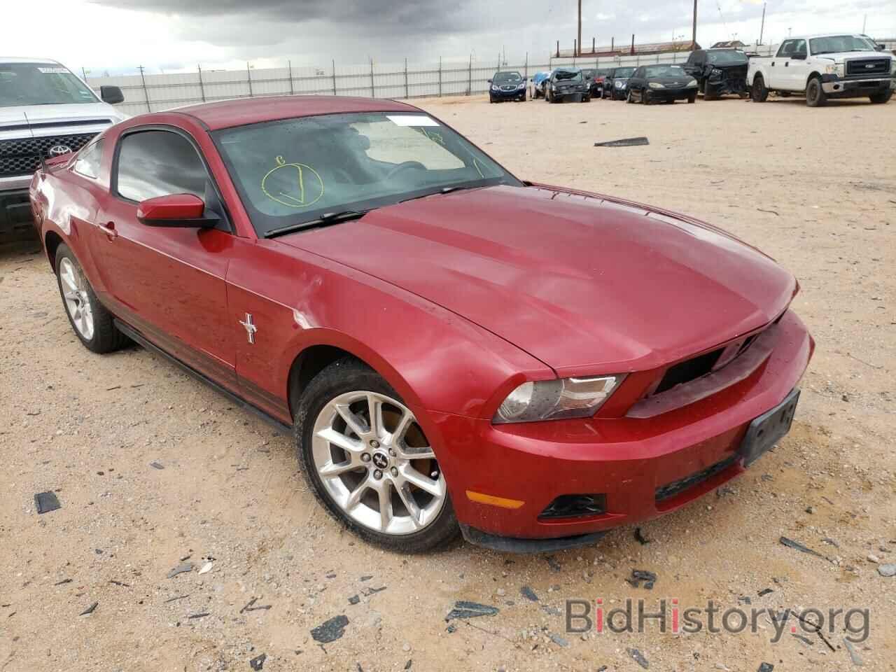Photo 1ZVBP8AN3A5153812 - FORD MUSTANG 2010