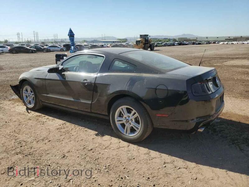 2014 Ford ALL MODELS (VIN 1ZVBP8AM4E5248411) — фото 2 из 12