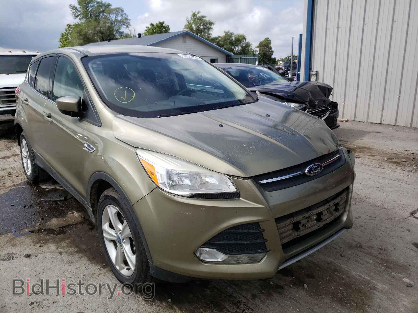 Фотография 1FMCU0GX0DUB65366 - FORD ESCAPE 2013