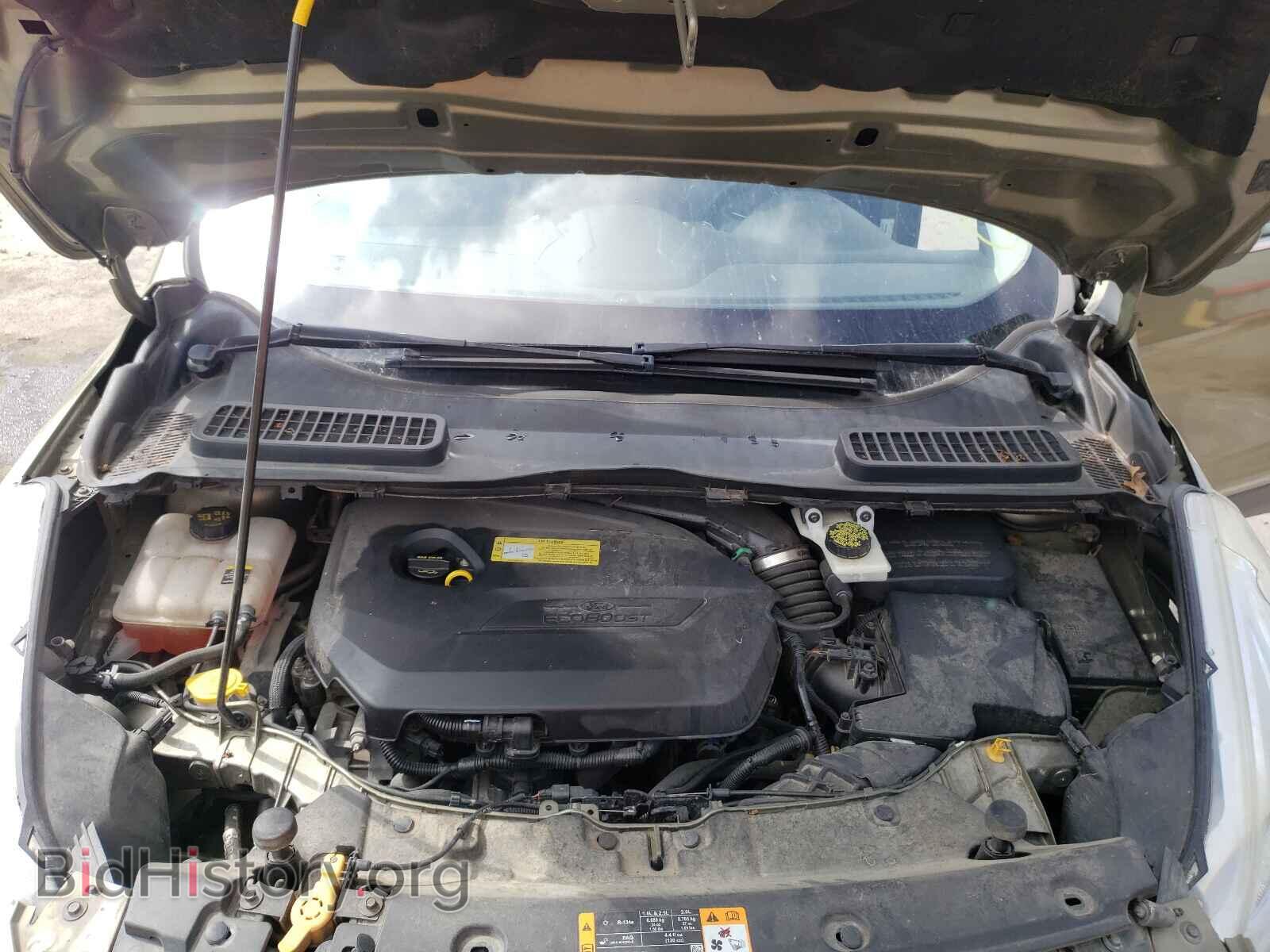2013 FORD ESCAPE - VIN: 1FMCU0GX0DUB65366 - Фото 7