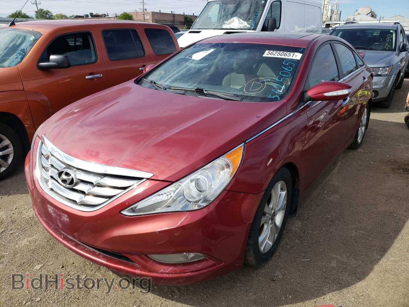 2013 HYUNDAI SONATA - VIN: 5NPEC4AC3DH572735 - Фото 2