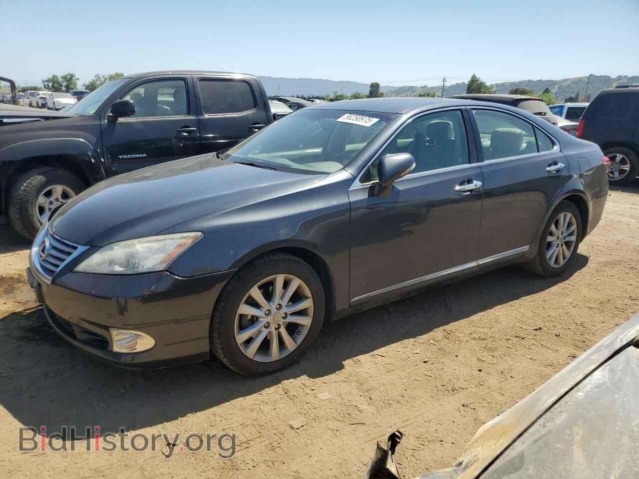 Фотография JTHBK1EG1B2464547 - LEXUS ES350 2011