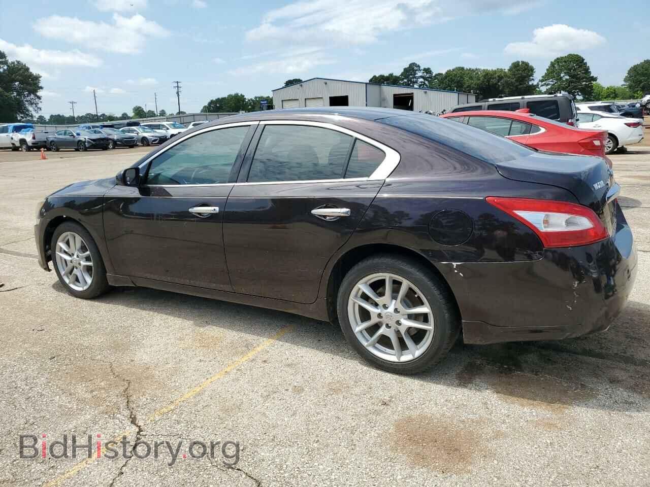 2011 NISSAN MAXIMA - VIN: 1N4AA5AP8BC825382 - Фото 2
