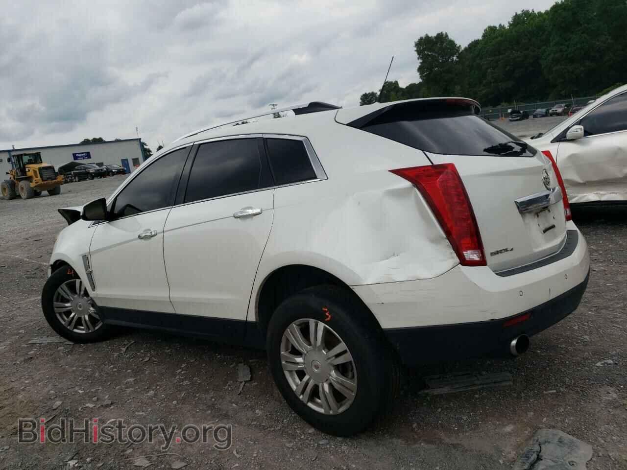 2011 CADILLAC SRX - VIN: 3GYFNDEY5BS566274 - Фото 2