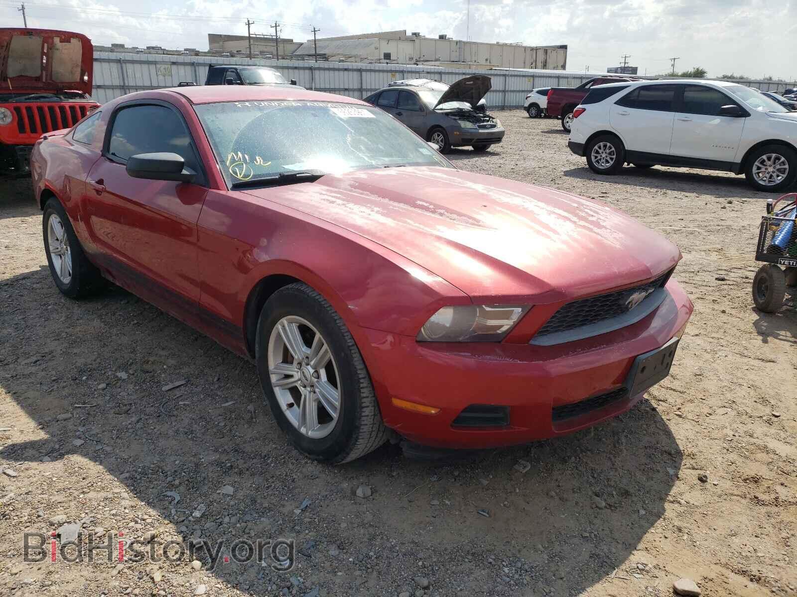 Photo 1ZVBP8AM8B5125562 - FORD MUSTANG 2011