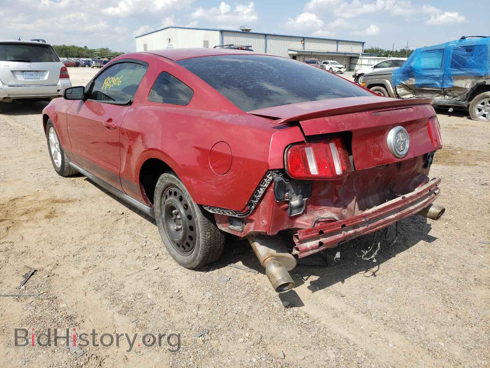 2011 FORD MUSTANG - VIN: 1ZVBP8AM8B5125562 - Фото 3