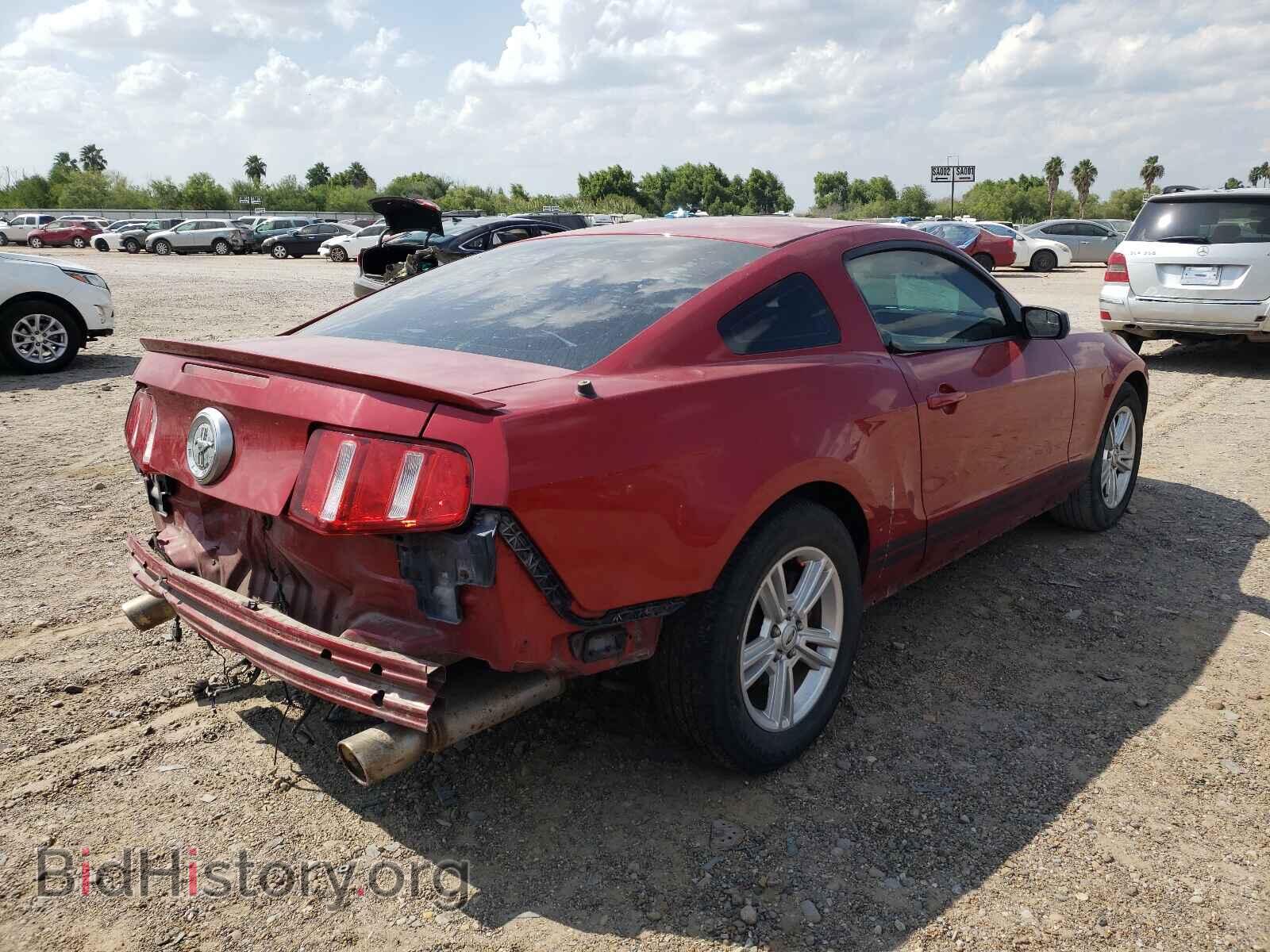 2011 FORD MUSTANG - VIN: 1ZVBP8AM8B5125562 - Фото 4
