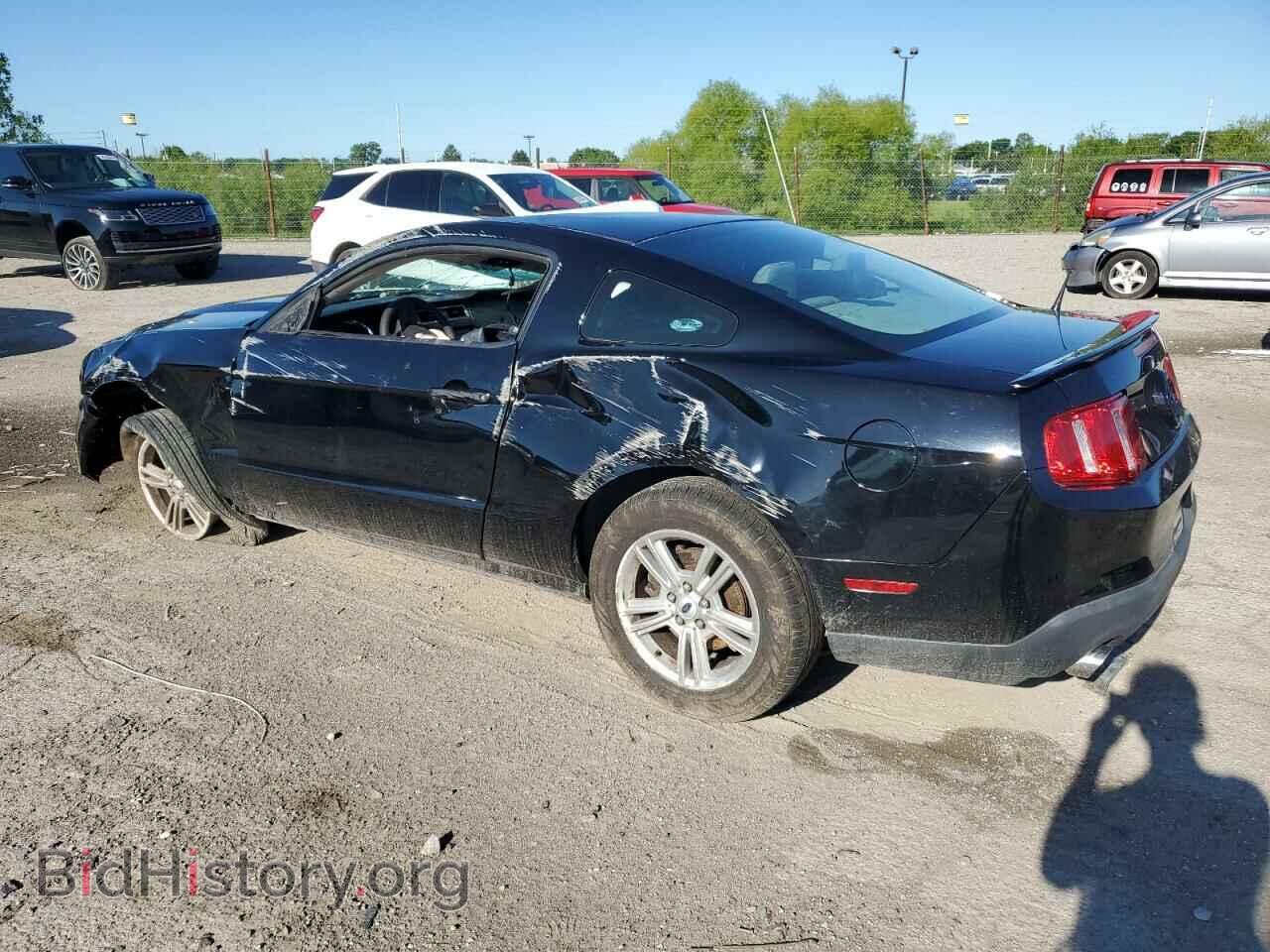 2011 FORD ALL Models - VIN: 1ZVBP8AM3B5153365 - Фото 2