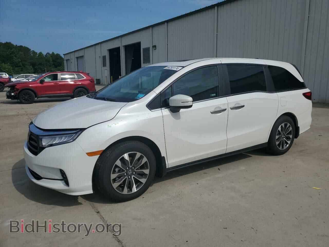 Фотография 5FNRL6H65RB021421 - HONDA All Models 2024
