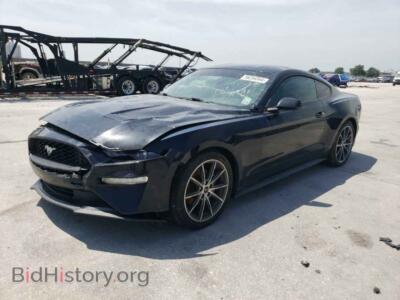 2019 Ford ALL MODELS, black — VIN 1FA6P8TH9K5116864, Copart