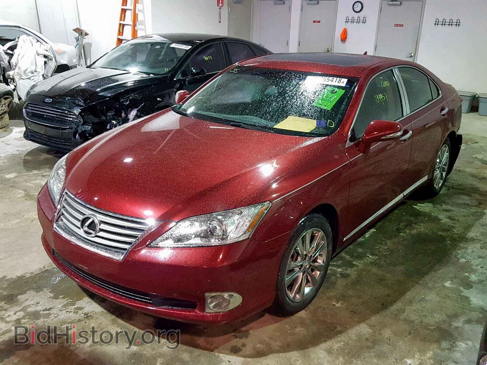 2011 LEXUS ES350 - VIN: JTHBK1EG9B2462691 - Фото 2