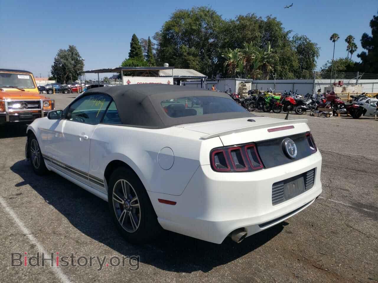 2013 FORD MUSTANG - VIN: 1ZVBP8EM5D5217497 - Фото 3