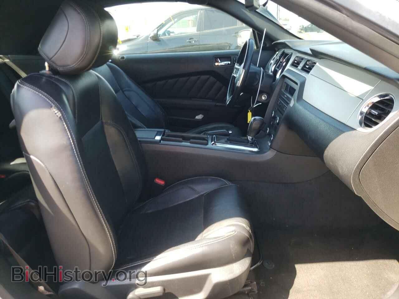 2013 FORD MUSTANG - VIN: 1ZVBP8EM5D5217497 - Фото 5