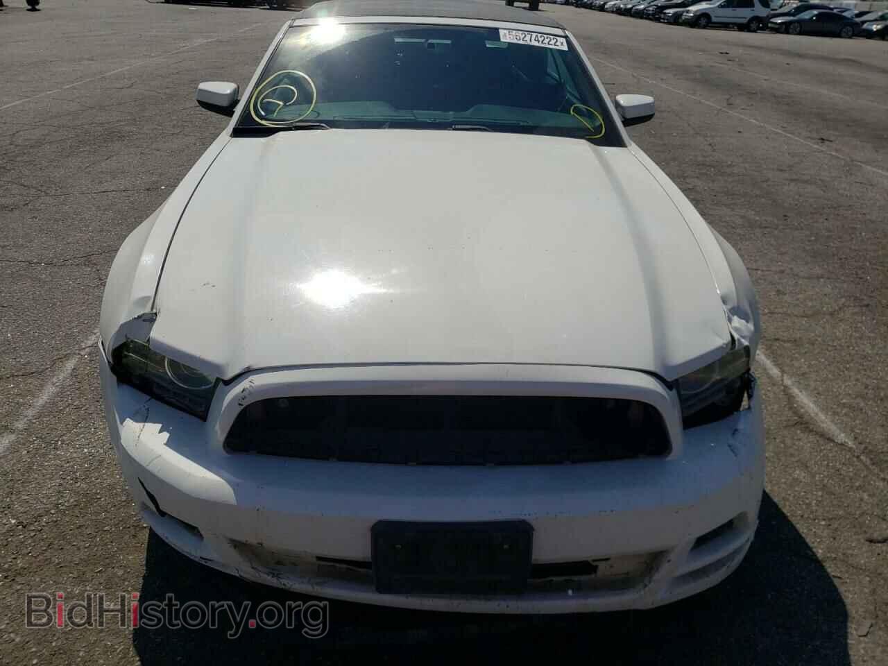 2013 FORD MUSTANG - VIN: 1ZVBP8EM5D5217497 - Фото 9