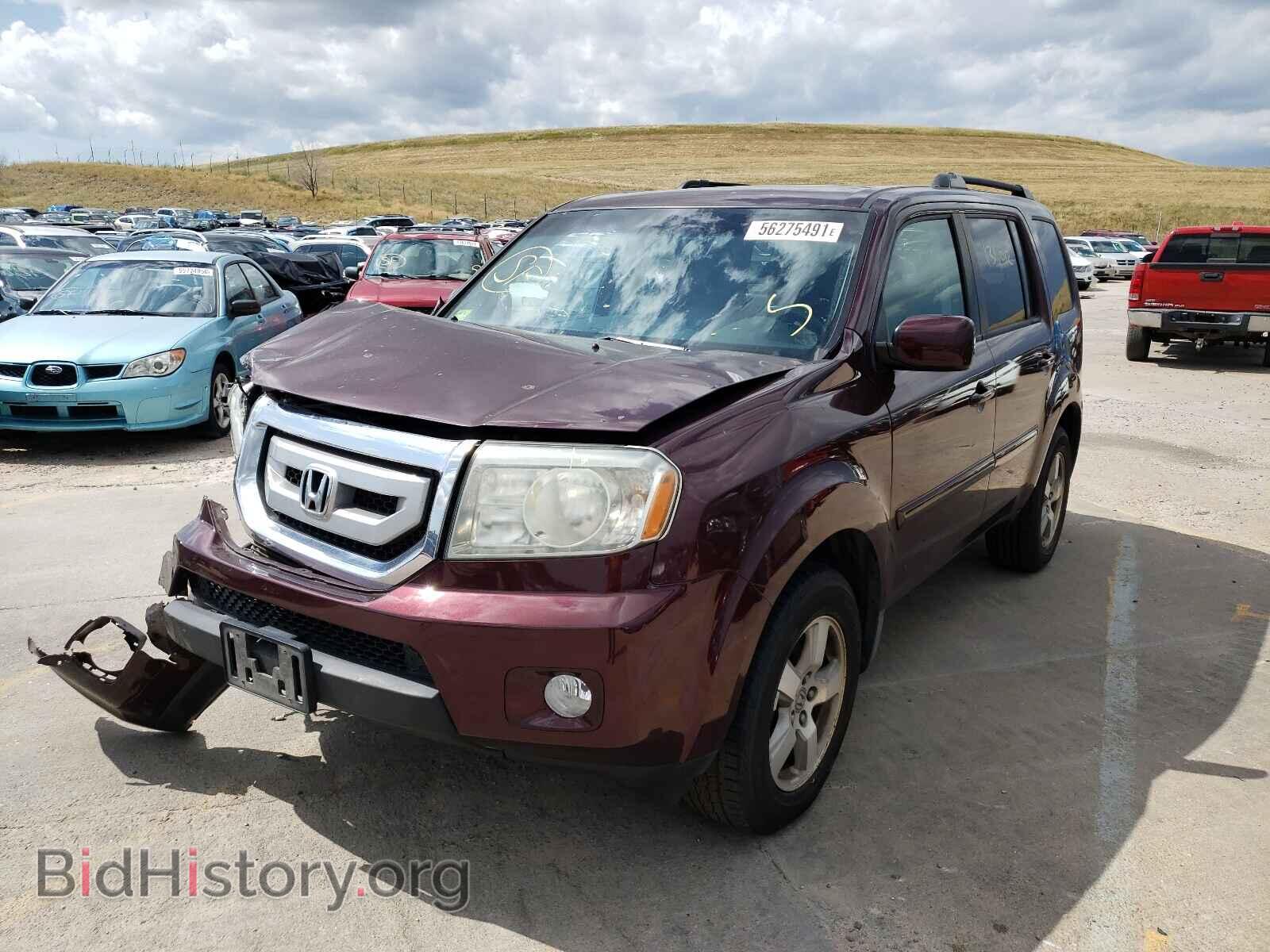 2009 HONDA PILOT - VIN: 5FNYF48579B030930 - Фото 2