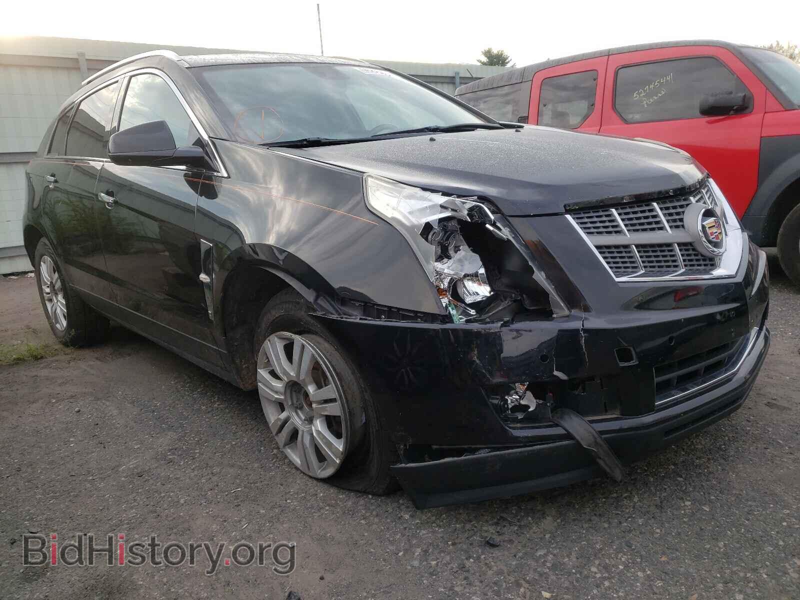 Photo 3GYFNDEY0BS569034 - CADILLAC SRX 2011