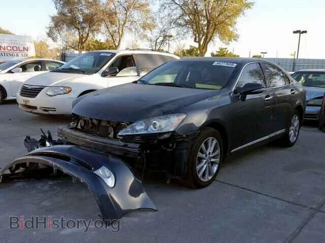 2010 LEXUS ES350 - VIN: JTHBK1EG2A2407921 - Фото 2