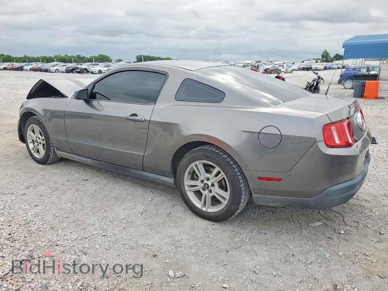 2010 FORD MUSTANG - VIN: 1ZVBP8AN3A5151509 - Photo 2
