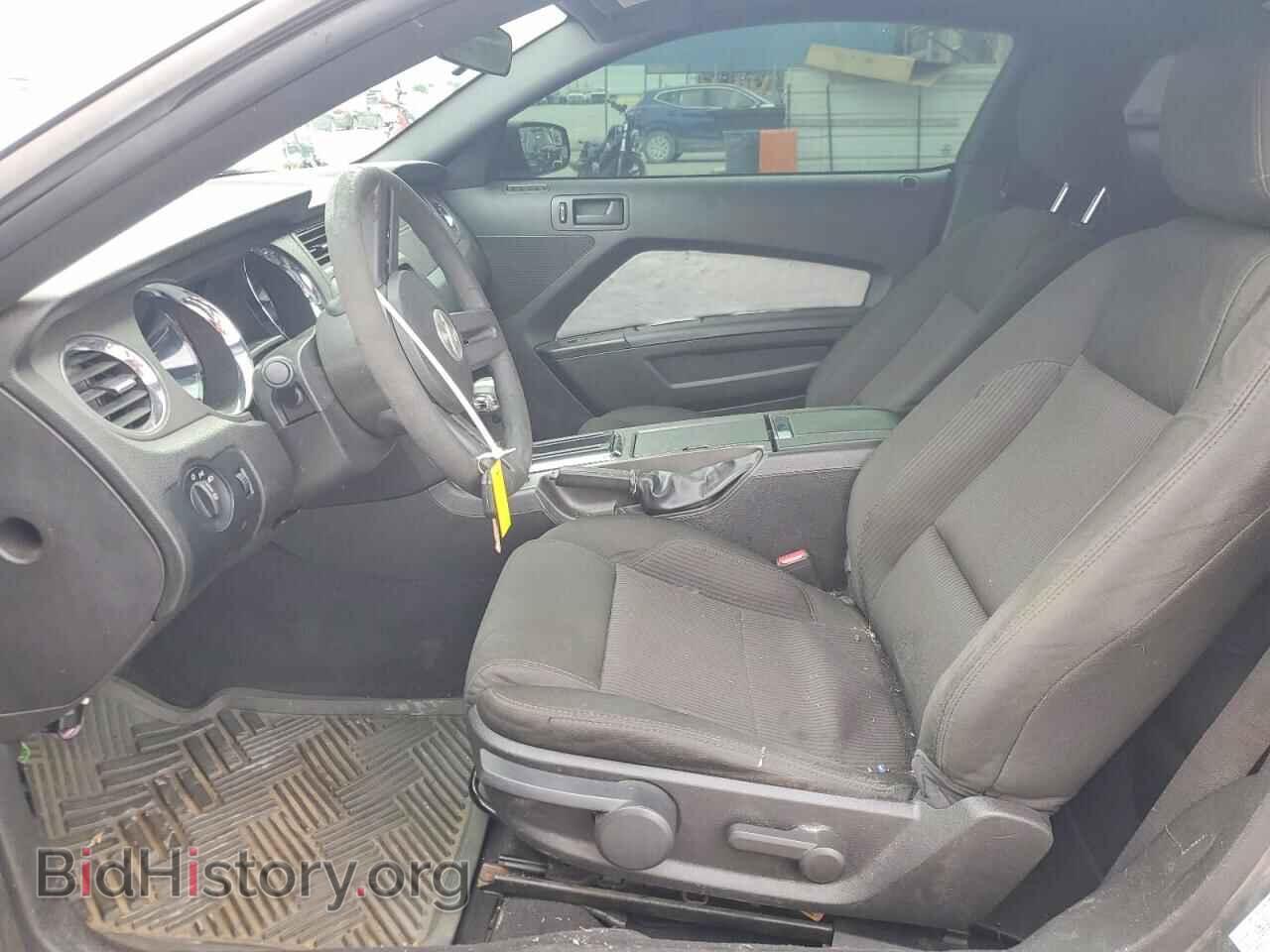 2010 FORD MUSTANG - VIN: 1ZVBP8AN3A5151509 - Photo 7