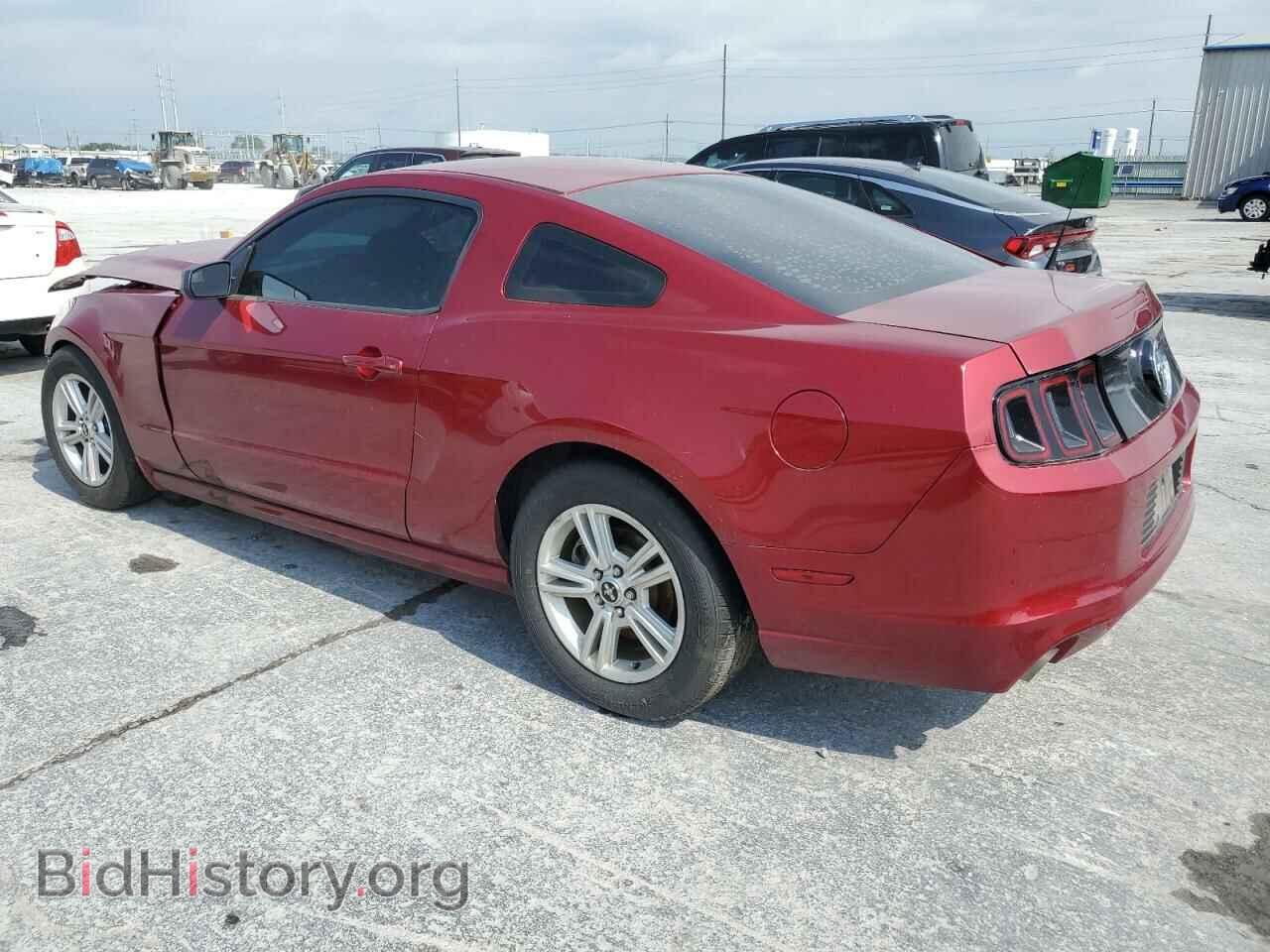 2014 FORD ALL Models - VIN: 1ZVBP8AMXE5254522 - Photo 2